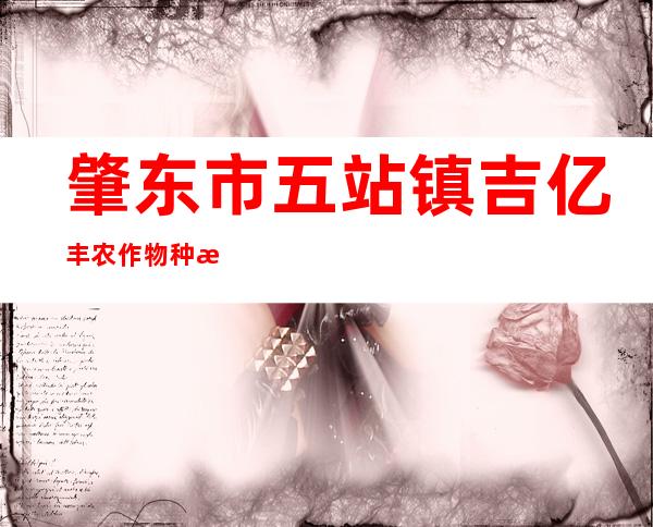 肇东市五站镇吉亿丰农作物种植专业合作社